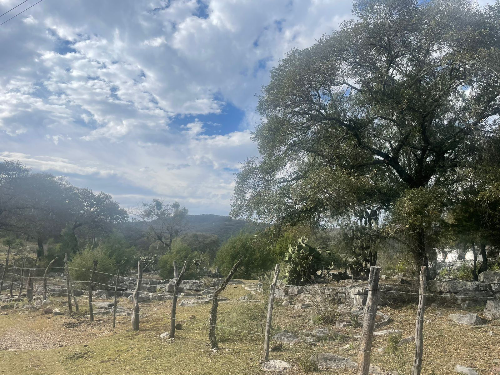 Vista de la propiedad