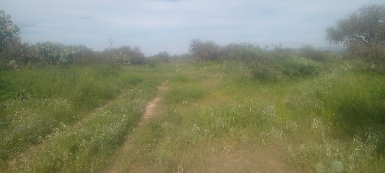 Excelente Terreno en Venta en Tanque Grande, Mexquitic de Carmona