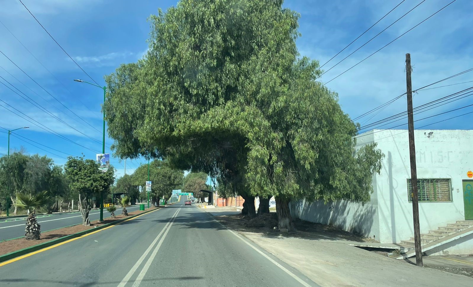 Vista de la propiedad
