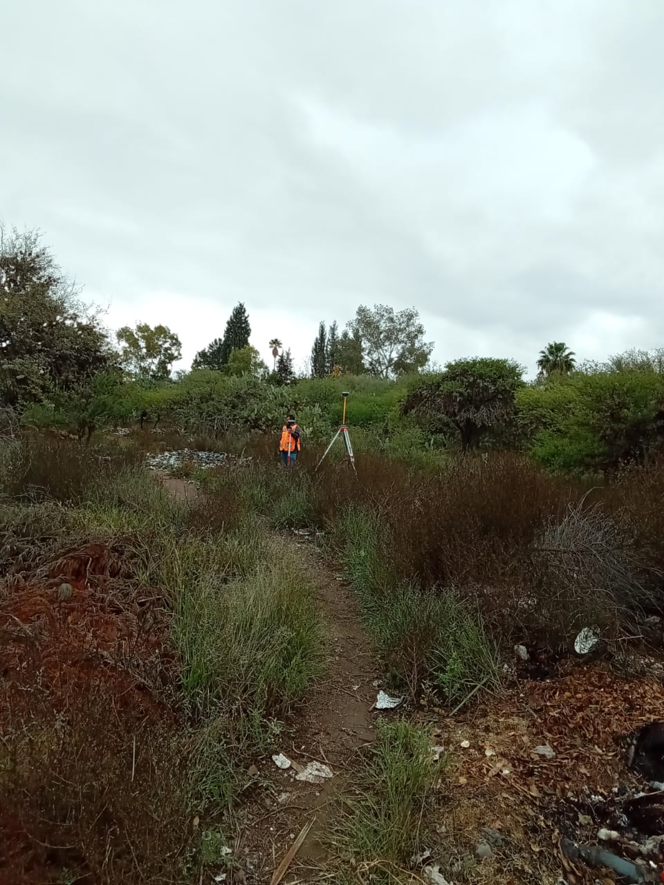 Terreno en Venta en Real del Potosí