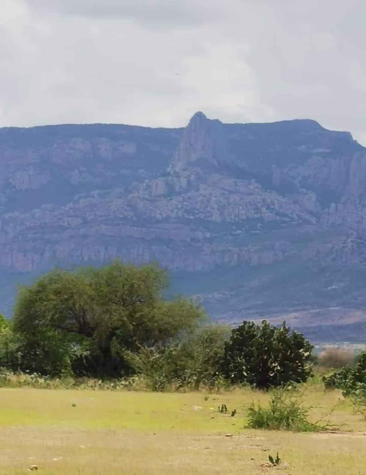 Vista de la propiedad