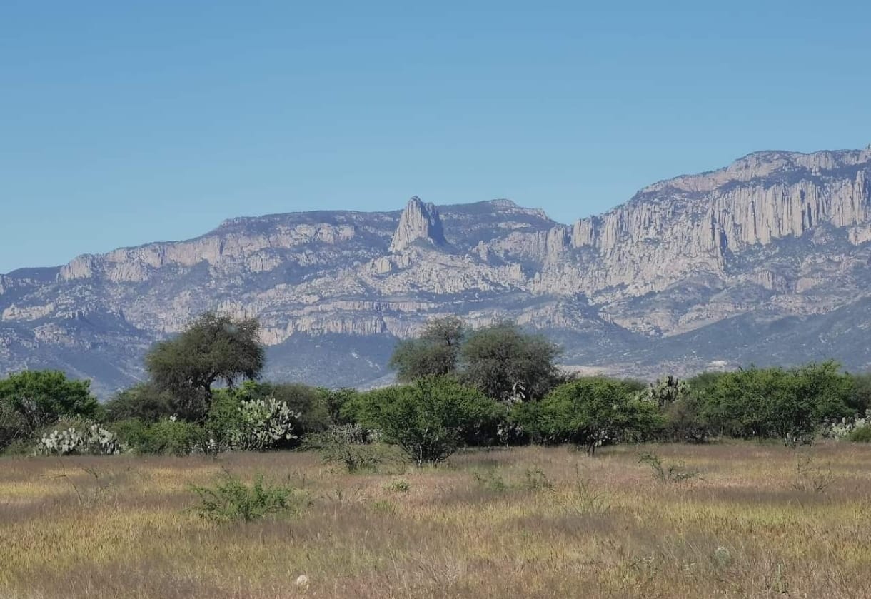 Terrenos en Venta en Villa de Reyes