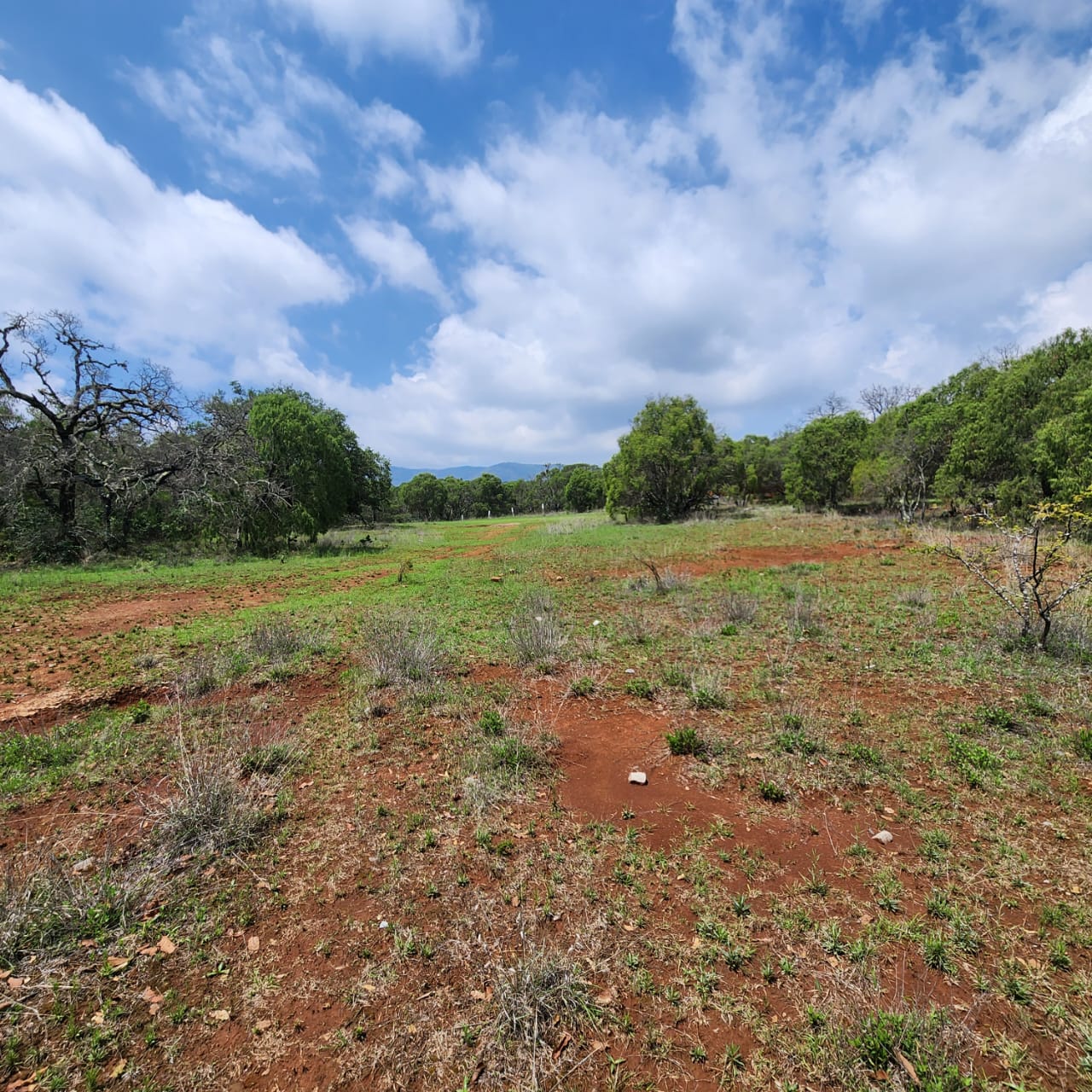Terrenos en Venta en Lomas de la Sierra por Sierra de Alvarez