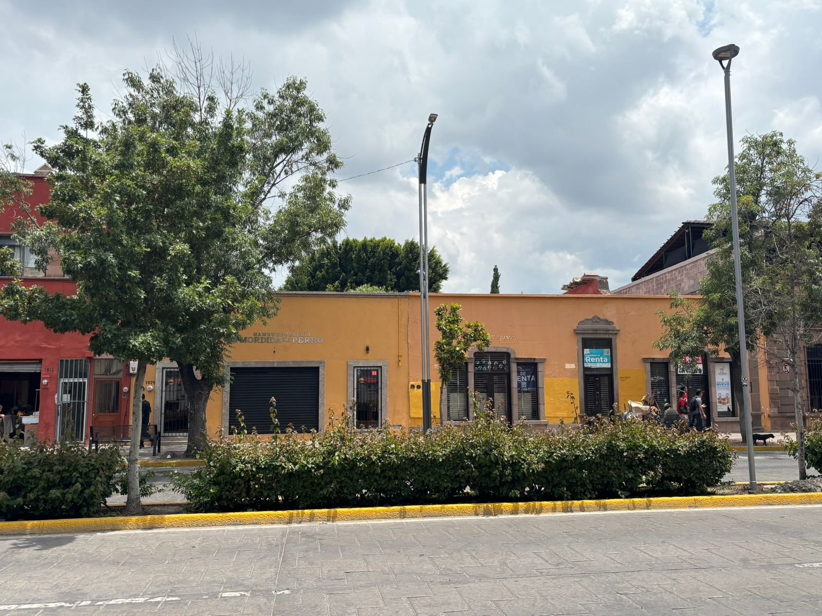 Propiedad en Renta sobre Carranza