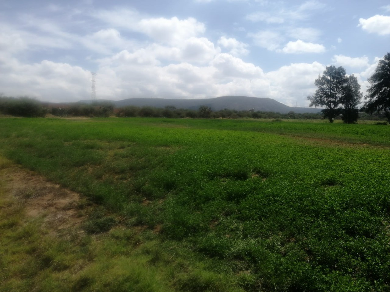 Vista de la propiedad