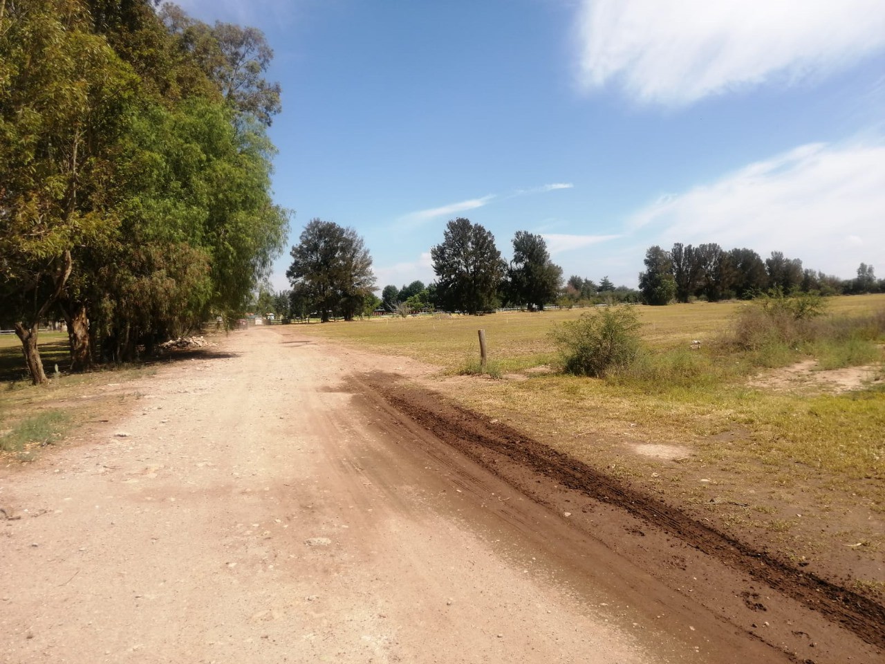Vista de la propiedad