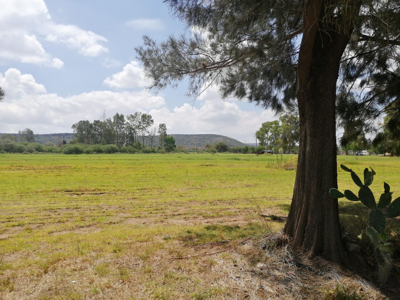 Vista de la propiedad