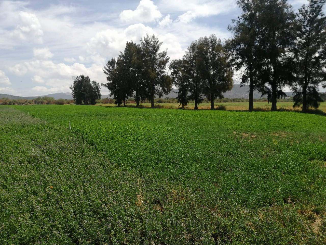 Vista de la propiedad